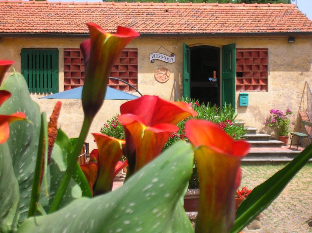 Agriturismo Le Pianore Montespertoli Exteriör bild